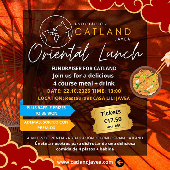 Join us for Catland Javea's Oriental Lunch October 22 2025 