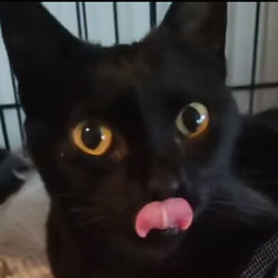 Lives are saved, when rescues work together