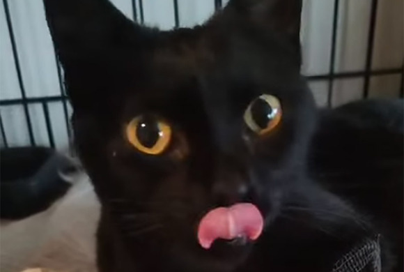 Lives are saved, when rescues work together