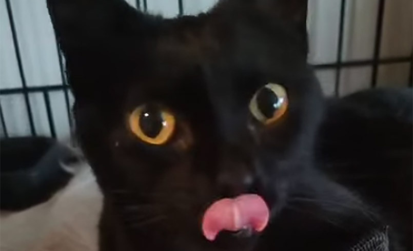 Lives are saved, when rescues work together