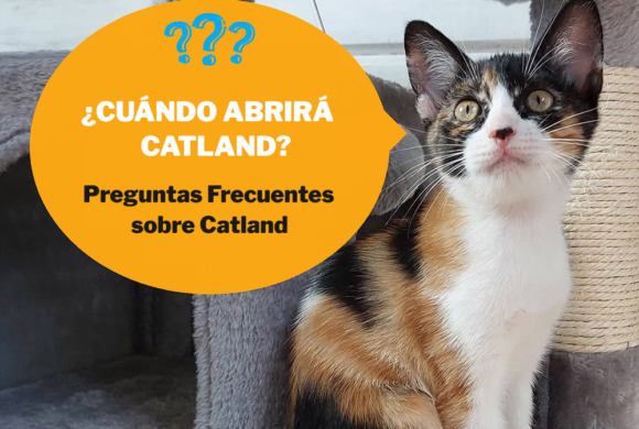 Preguntas Frecuentes sobre Catland