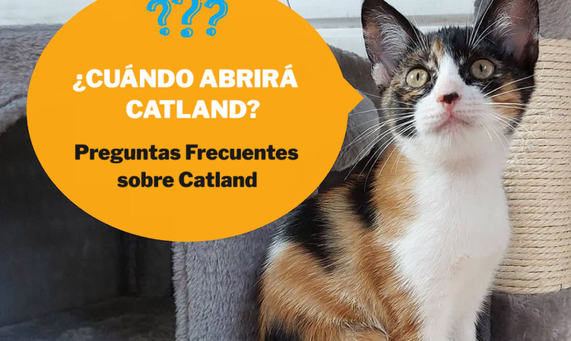 Preguntas Frecuentes sobre Catland