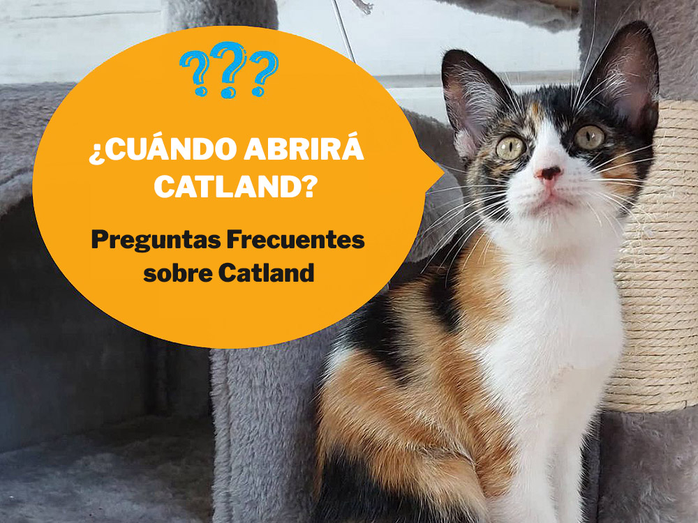 Preguntas Frecuentes sobre Catland
