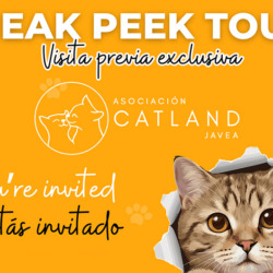 Catland lifts the veil: Sneak Peek Tour!