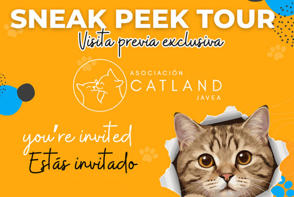 Catland lifts the veil: Sneak Peek Tour!