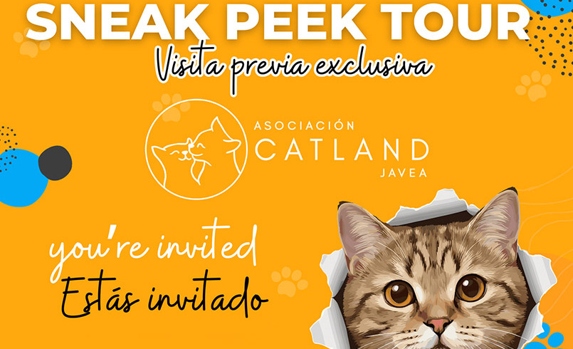 Catland lifts the veil: Sneak Peek Tour!