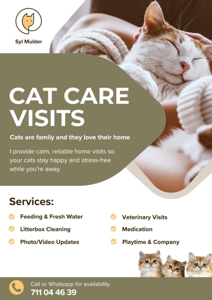 Cat Care Visits in Javea - Calm, reliable home visits - Your cat stays happy and stress-free while you're away