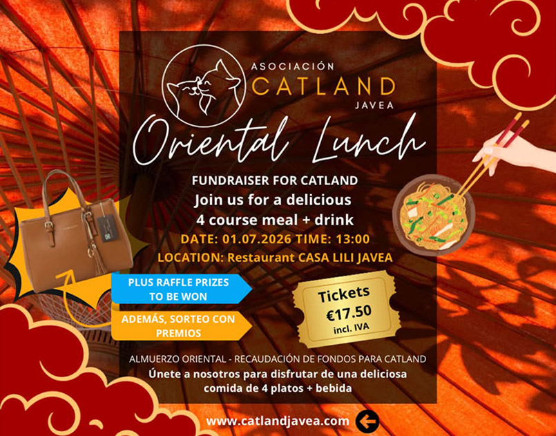Catland's Oriental Lunch Casa Lili Javea