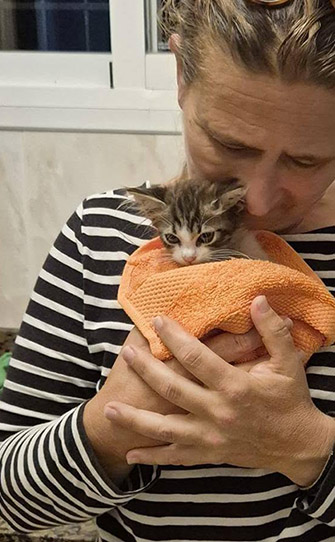 Saved From a Car Engine - San Juan Kitten Rescue