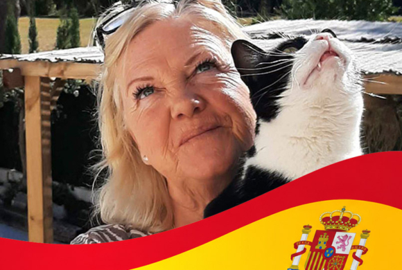 A Simple Guide to Spain’s Animal Welfare Law for Cat Owners