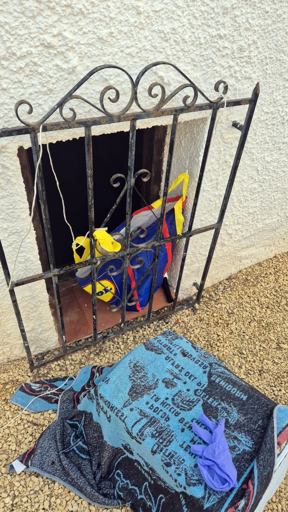 The craziest catland rescue ever - lidl bag