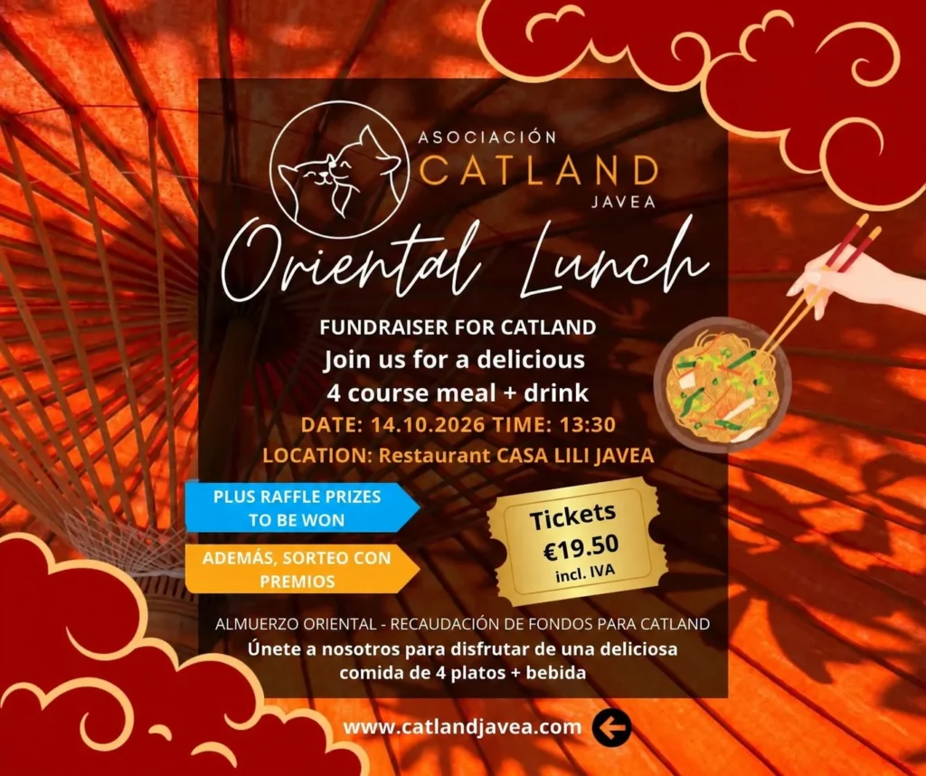 Catland's Oriental Lunch Casa Lili Javea - October 14