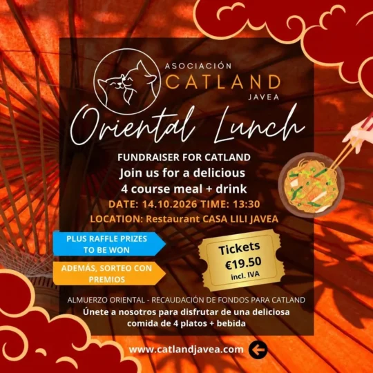 Catland's Oriental Lunch Casa Lili Javea - October 14