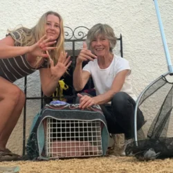 A Lidl Bag Saved the Day: A Crazy Kitten Rescue