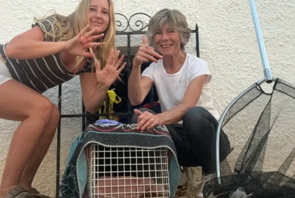 A Lidl Bag Saved the Day: A Crazy Kitten Rescue