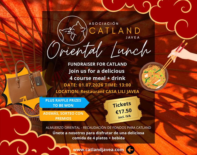 Catland's Oriental Lunch Casa Lili Javea